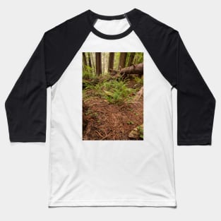 The Forest Floor Baseball T-Shirt